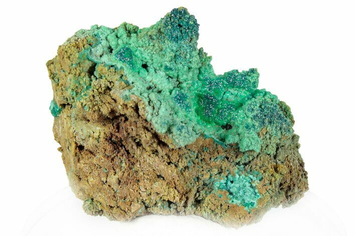 Vibrant Green Conichalcite with Chrysocolla - Namibia #295903